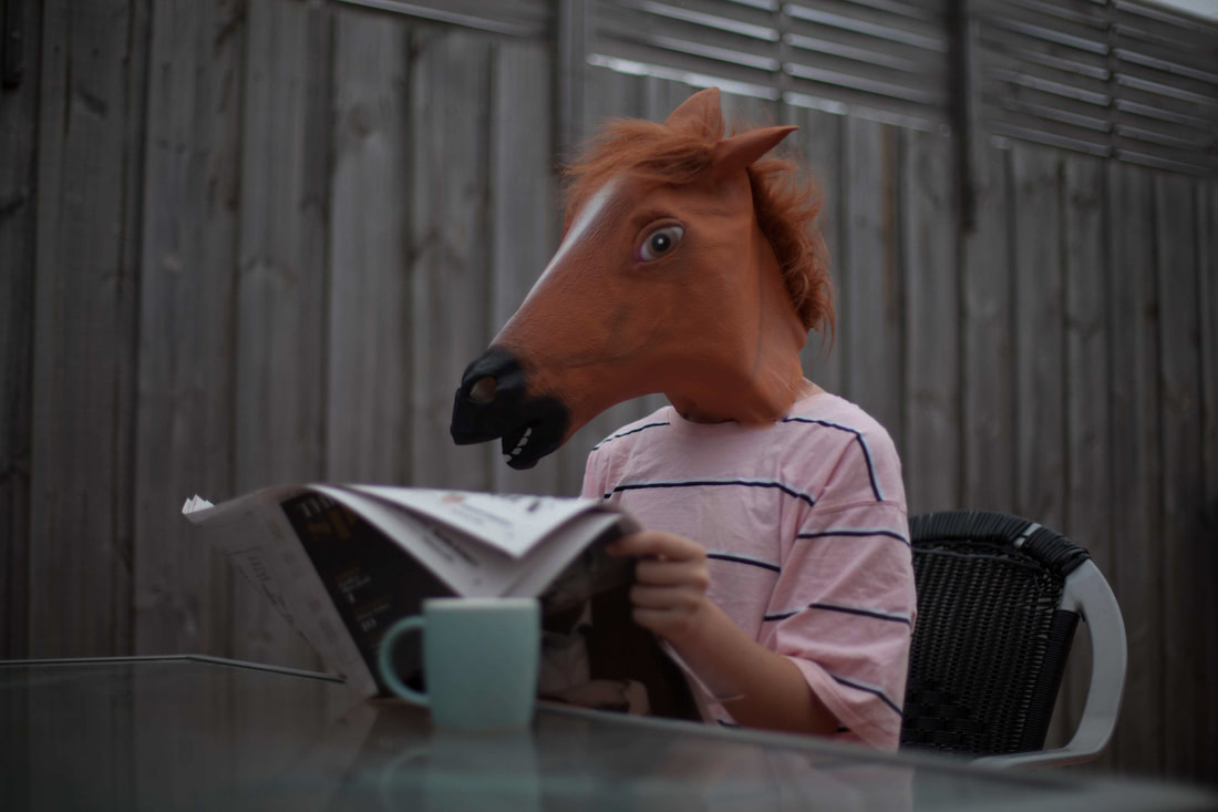 Horse reads the news paper and drinks coffee