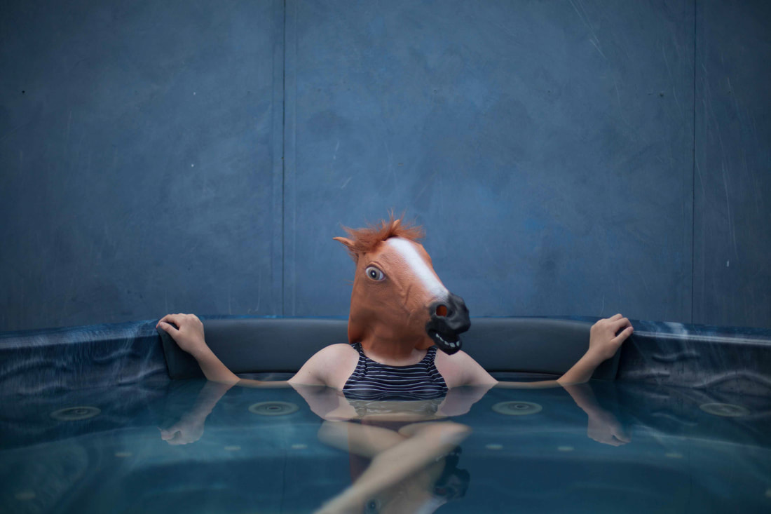 Horse on holidays in the spa